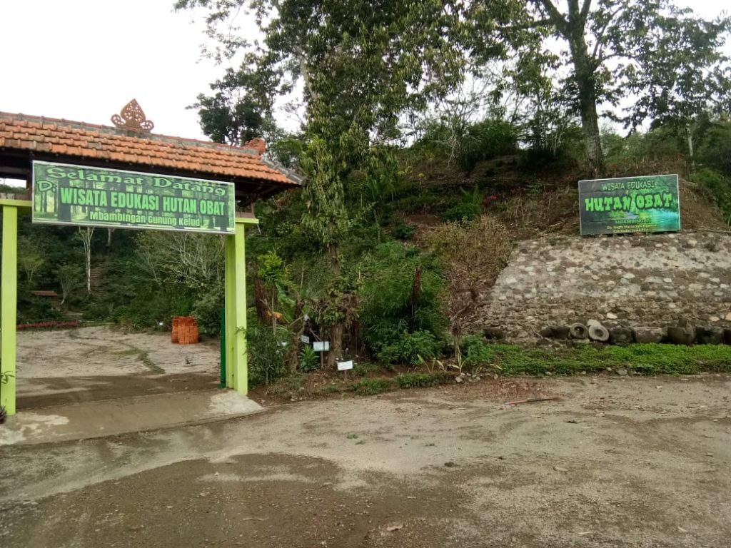 Wahyu sang Tabib, Kembangkan Toga sebagai Wisata Edukasi di Kaki Kelud