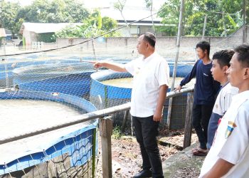 Intip Dua Produsen Lele, Pemkab Kediri Dorong Penguatan Nilai Jual