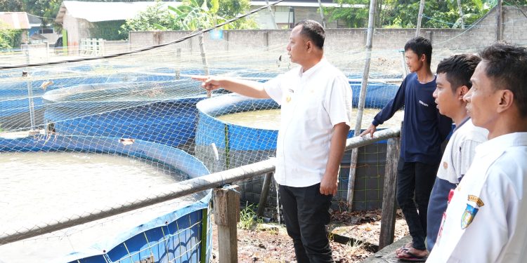 Intip Dua Produsen Lele, Pemkab Kediri Dorong Penguatan Nilai Jual