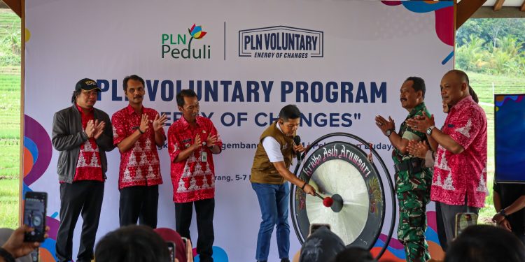 10 Relawan Bakti PLN, Siap Mengabdi Salurkan Energi Perubahan di Desa Polosiri