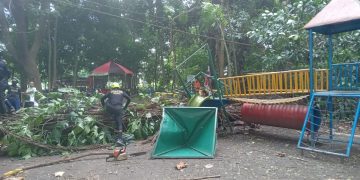 Angin Kencang Akibatkat Pohon Tumbang di Kawasan Wisata Sumber Cakarwesi