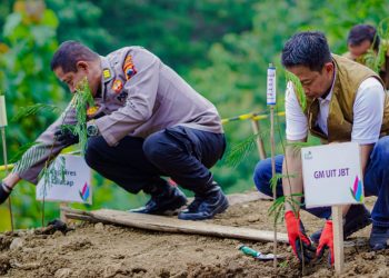PLN UIT JBT Luncurkan Program GROW Transmission, Dukung Penuh Transisi Energi Hijau di Indonesia