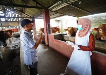 Mas Dhito Terjunkan Tim DKPP Pantau Kelayakan Hewan Kurban di Kediri