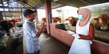 Mas Dhito Terjunkan Tim DKPP Pantau Kelayakan Hewan Kurban di Kediri