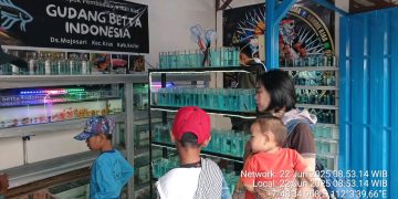 Sentra PKL SLG Diresmikan, Zona Ikan Hias Ramai Pengunjung