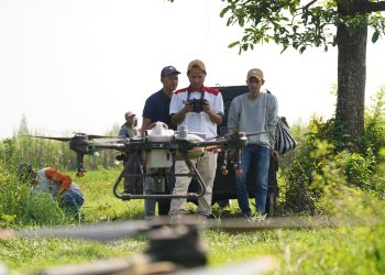 Respons Cepat Mas Dhito Tangani Lahan Padi Terendam Banjir di Purwoasri