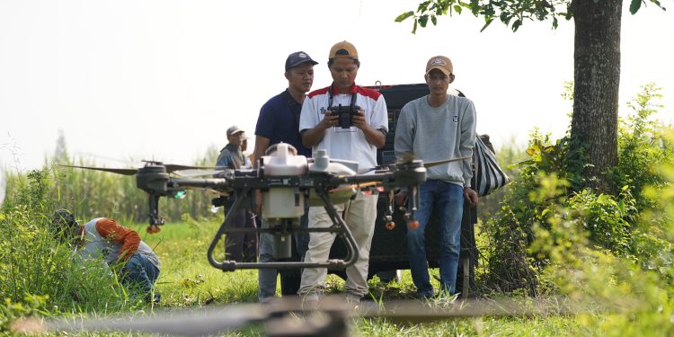 Respons Cepat Mas Dhito Tangani Lahan Padi Terendam Banjir di Purwoasri