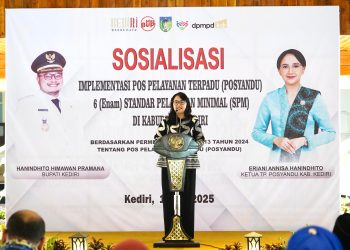 Mbak Cicha Ajak Posyandu di Kabupaten Kediri Wujudkan 6 Standar Pelayanan Minimal