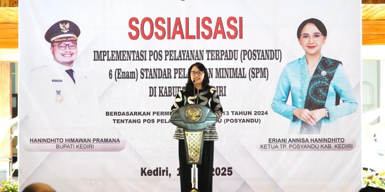 Mbak Cicha Ajak Posyandu di Kabupaten Kediri Wujudkan 6 Standar Pelayanan Minimal