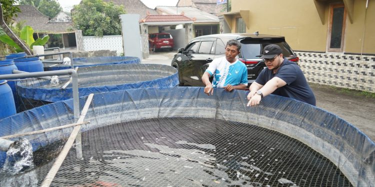 Nilai Ekonomis Capai Rp700 M, Pemkab Kediri Bakal Gelar Kediri Koi Show 12