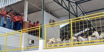 Dorong Kemandirian Desa, Koperasi Merah Putih dan BUMDes Papar Kolaborasi di Sektor Pangan