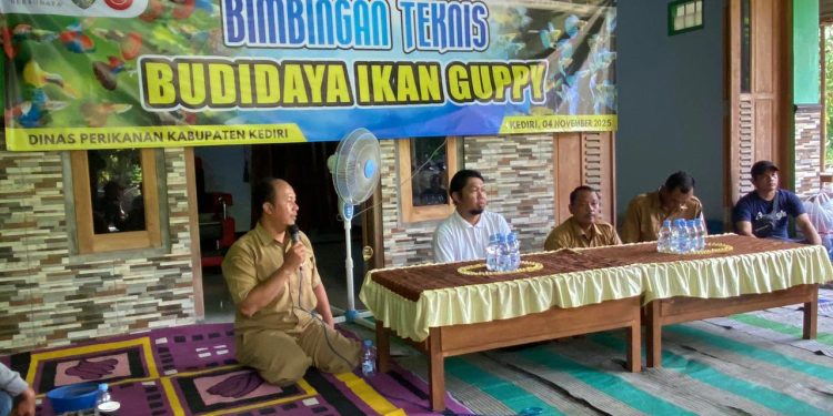 Dinas Perikanan Kabupaten Kediri Ajak Masyarakat Desa Kras Kembangkan Budidaya Ikan Guppy
