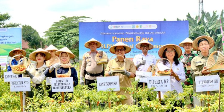Kendalikan Inflasi, BI Kediri Latih Petani Budidaya Cabai Off Season Berbasis Ramah Lingkungan