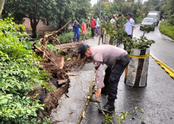 Cuaca Ekstrem Picu Bahu Jalan Ambrol di Desa Salamrojo, Berbek