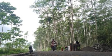 Satgas TMMD ke-127 Kediri Genjot Jalan Tembus 1.657 Meter, Progres Sudah 60%