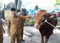 Plt Bupati Tulungagung Serahkan Hewan Kurban Presiden Prabowo ke Masjid Boyolangu