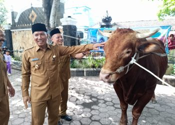 Plt Bupati Tulungagung Serahkan Hewan Kurban Presiden Prabowo ke Masjid Boyolangu