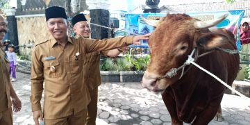 Plt Bupati Tulungagung Serahkan Hewan Kurban Presiden Prabowo ke Masjid Boyolangu