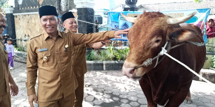Plt Bupati Tulungagung Serahkan Hewan Kurban Presiden Prabowo ke Masjid Boyolangu