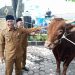 Plt Bupati Tulungagung Serahkan Hewan Kurban Presiden Prabowo ke Masjid Boyolangu